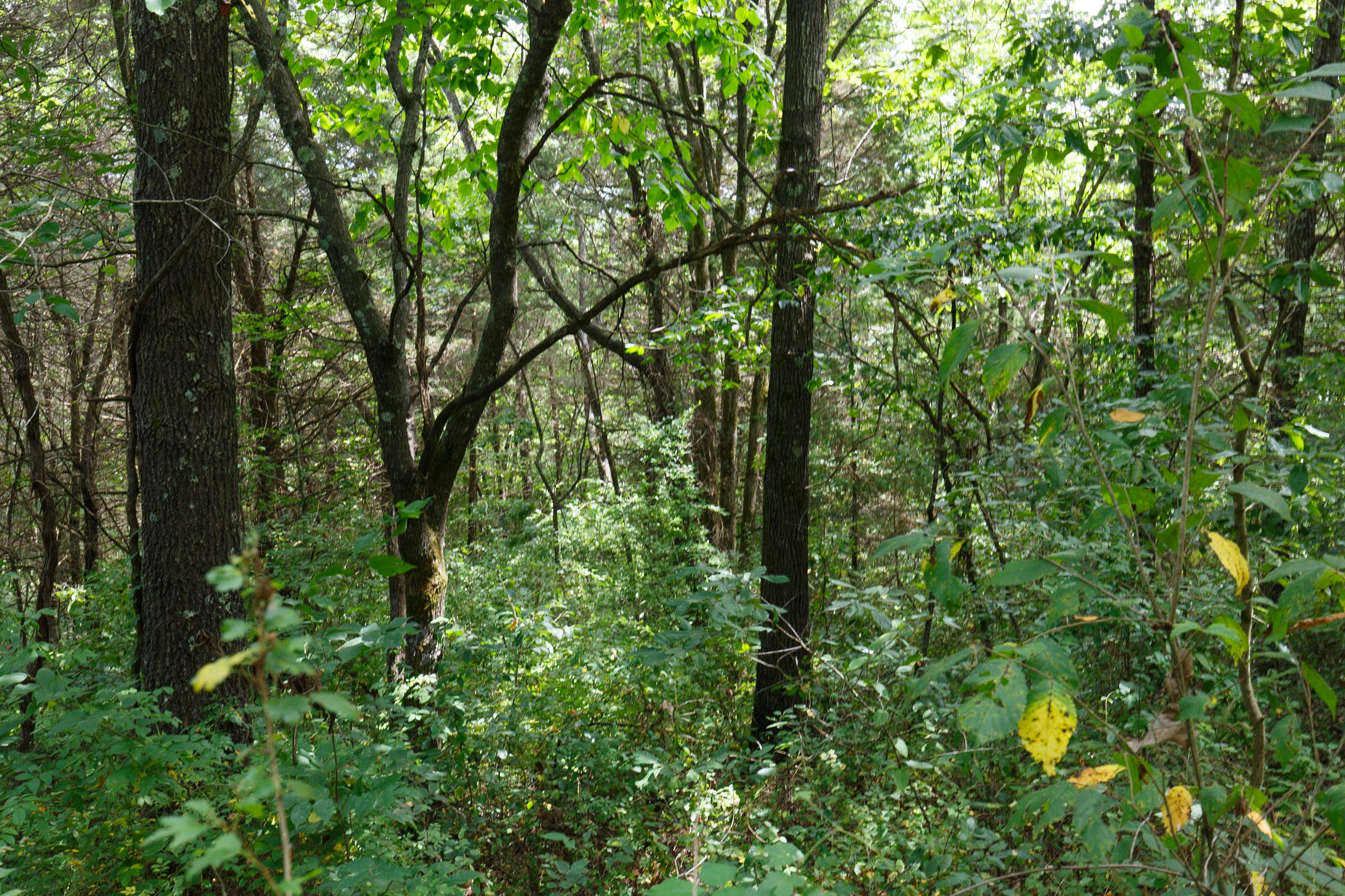 Tract 30 at Springlake in Miller County, Missouri