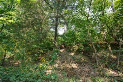 property photo for Springlake Plat 2 Tract 10, 0.21 acres for sale in Miller County, Missouri