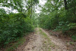 property photo for Springlake Plat 2 Tract 37, 0.2 acres for sale in Miller County, Missouri