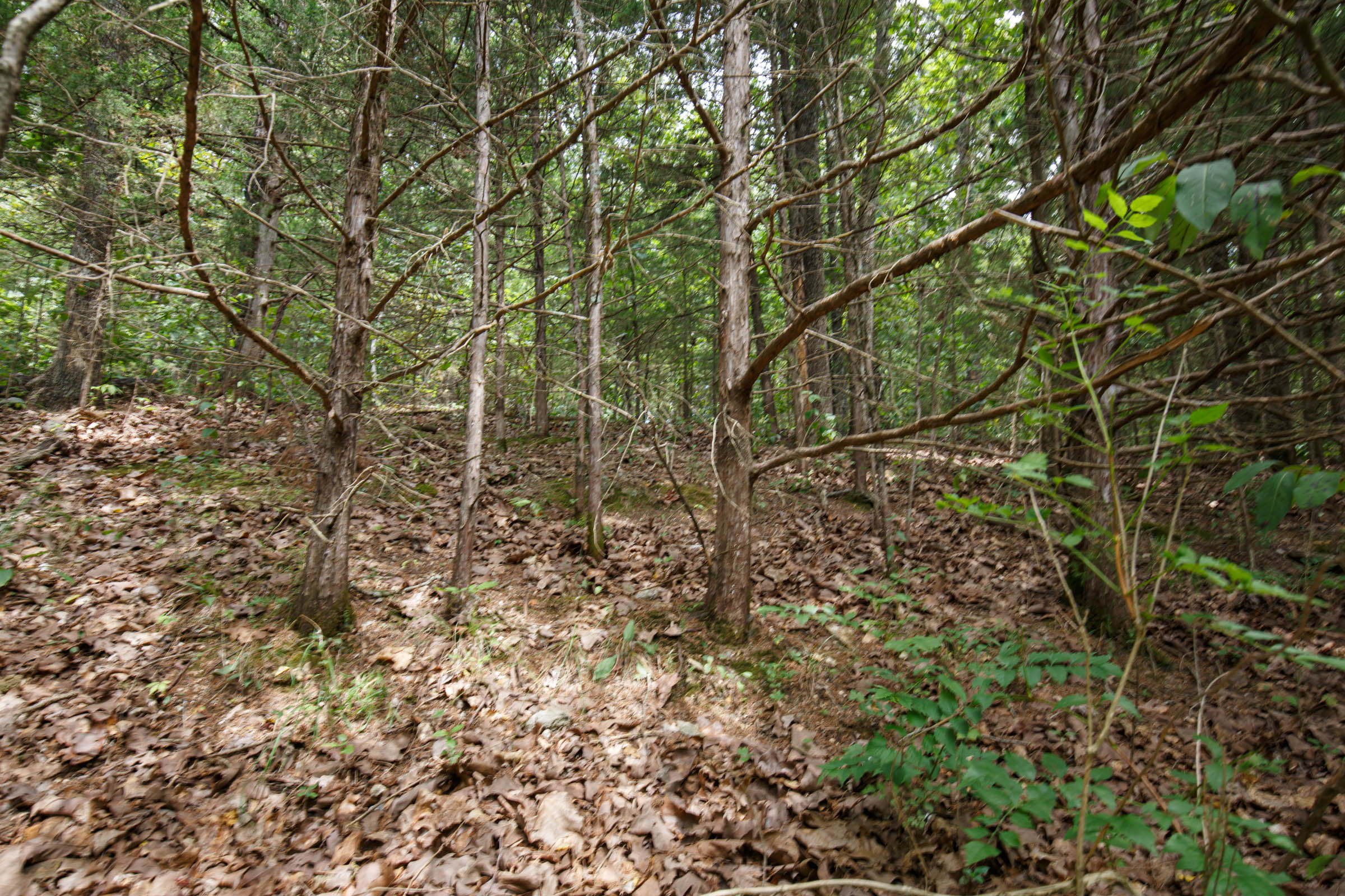 Tract 302 at Springlake in Miller County, Missouri
