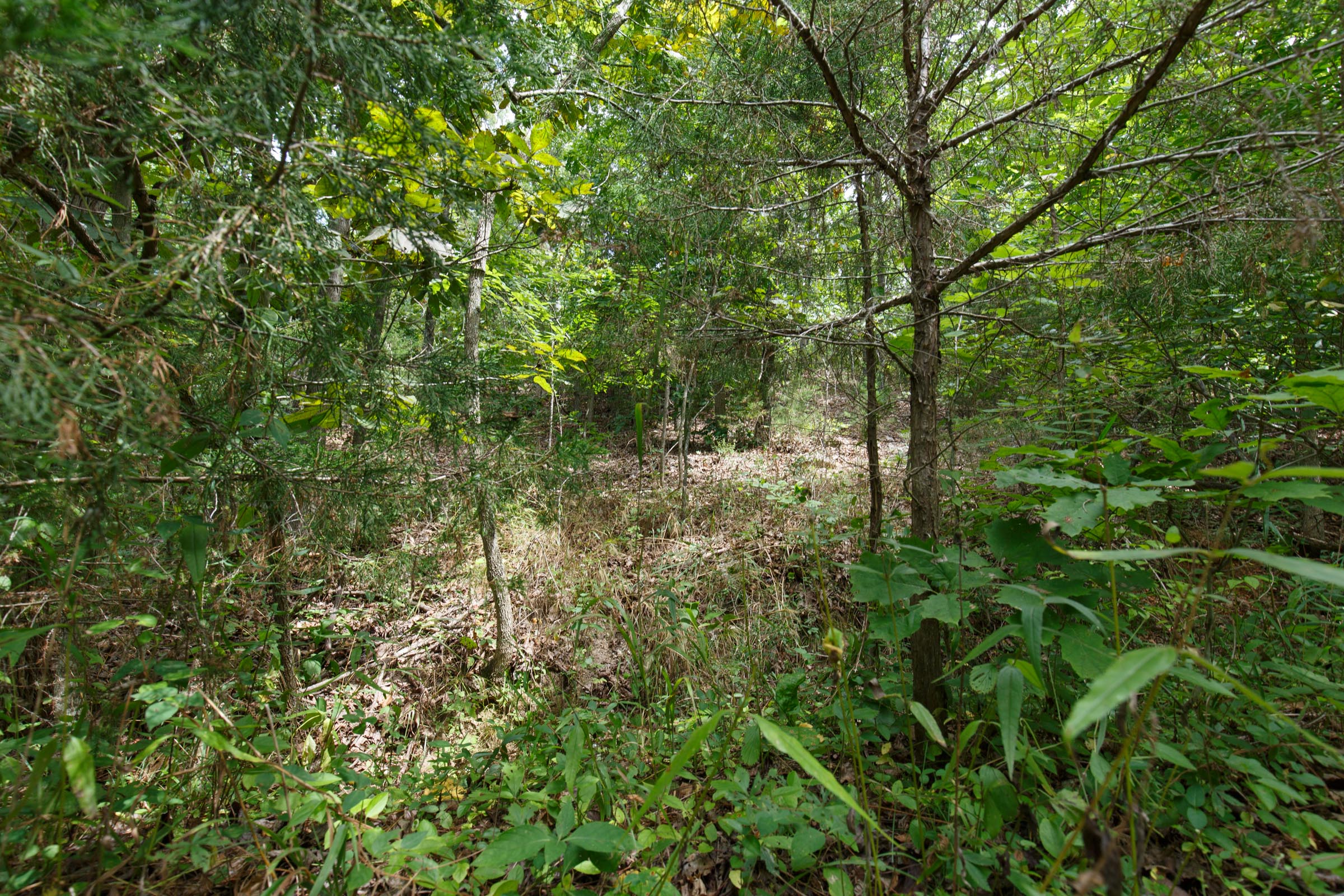 Tract 325 at Springlake in Miller County, Missouri