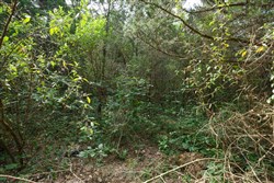 property photo for Springlake Plat 6 Tract 6, 0.19 acres for sale in Miller County, Missouri
