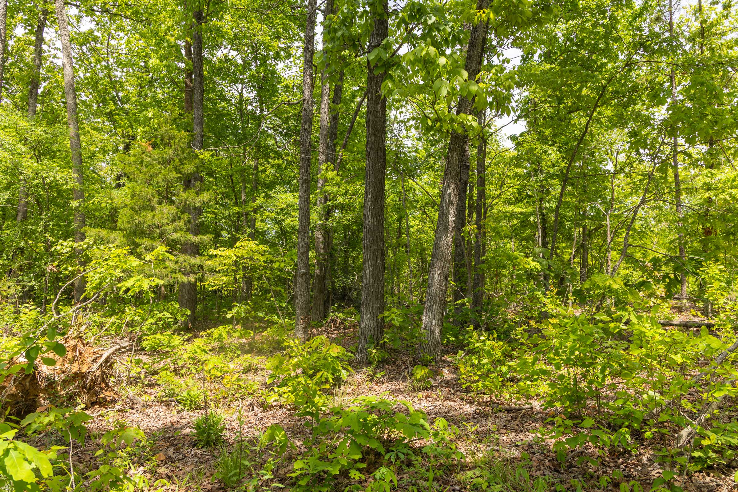 Tract 13 at Stardust Estates in Reynolds County, Missouri